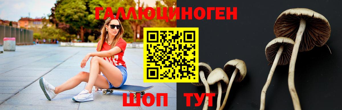 Галлюциногенные грибы Psilocybe  Вход с VPN  Нефтеюганск  Псилоцибиновые грибы Magic Shrooms 